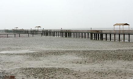 《遗迹：灰烬重生》即将登陆任天堂Switch平台